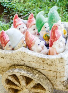 Gnomes