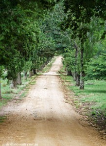A-SHEEP-FARM-IN-MONARO-HIGH-COUNTRY
