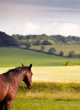 a place in the UK country