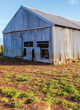 wheatbelt farmers