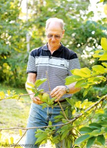 Peachester farm_019