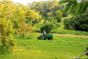 Peachester farm_055