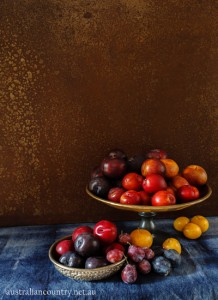 Plum recipes