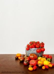 Tomatoes-5531