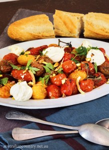 Tomatoes-5536