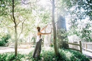 VintageTree-013