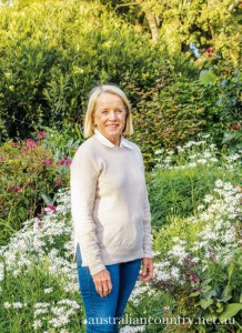 At Home With History In Spring Park