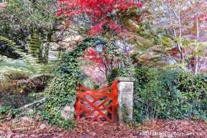 Gardening Coat of Colours