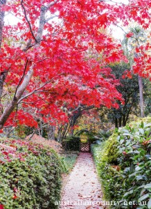 Gardening Coat of Colours