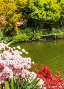 Gardening Coat of Colours