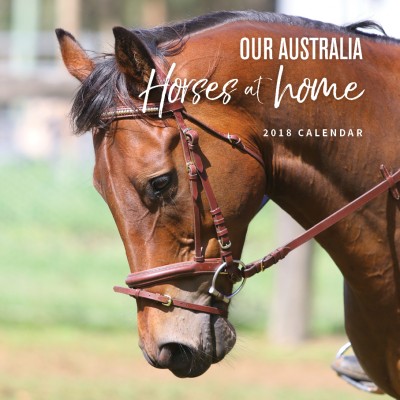 Our Australia Horses at Home