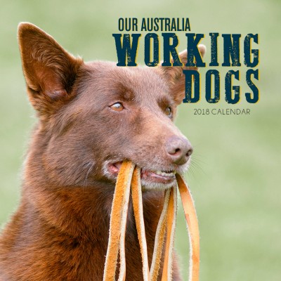 Our Australia Working Dogs