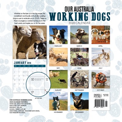 Our Australia Working Dogs OBC