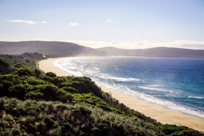 Bruny Oysters