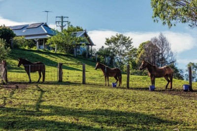 bellingen
