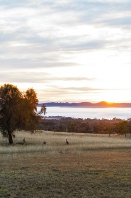mudgee
