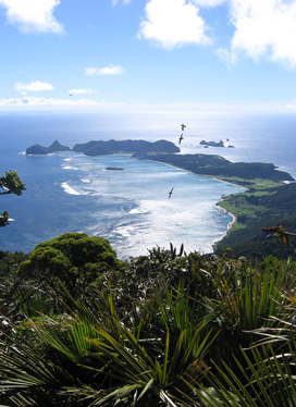 Lord Howe Cover