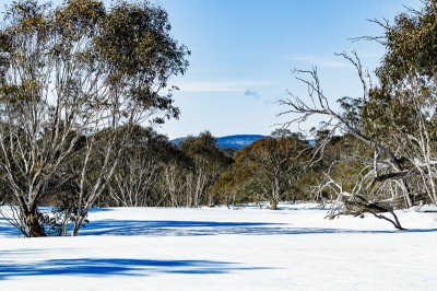 vic high country