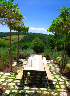 Tuscan sun Cover Photo
