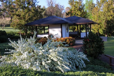 Cowra japanese gardens australian country 2