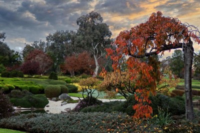 Cowra japanese gardens australian country 5