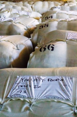 bluestone yalla-y-poora 8