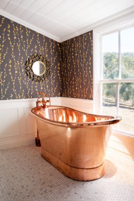 rural rookies festa family bath