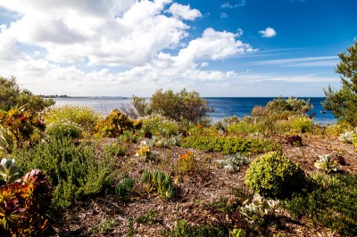 seaside garden jane phillips