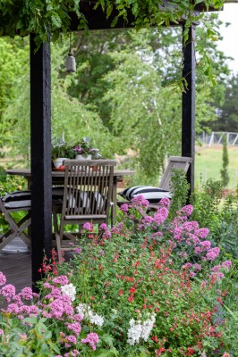 Golden opportunities garden
