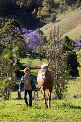 simone williams hillview homestead farm