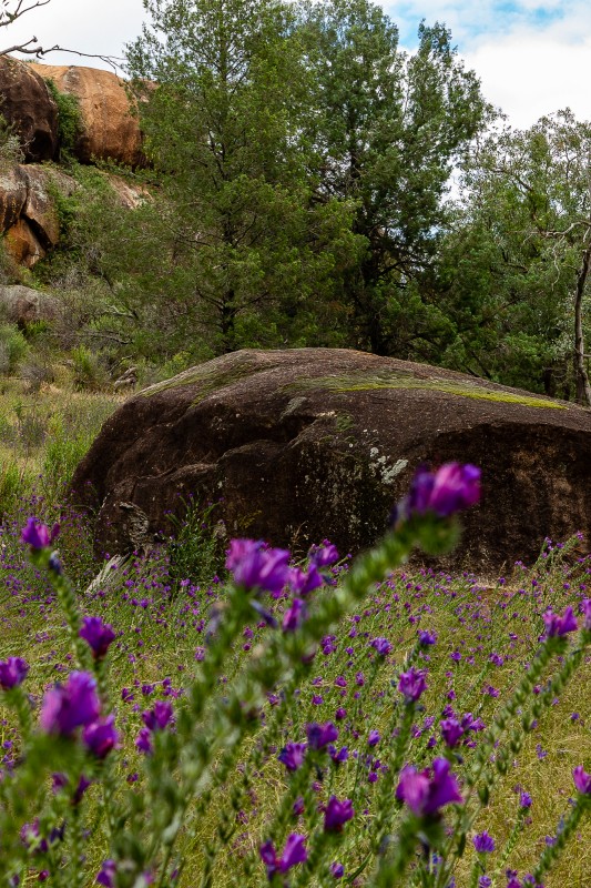 Escort Rock