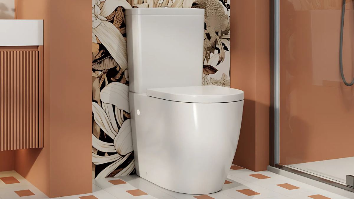 Selecting the Best Toilet for Your Renovation Project: Functionality Meets Design