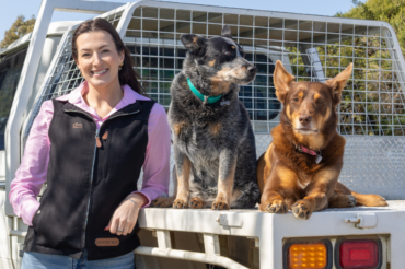 Leading By A Country Mile