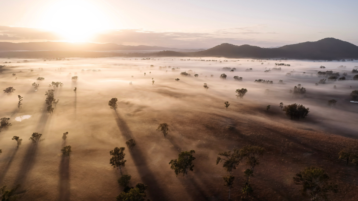 2025 Photographer of the Year