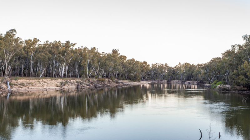 Abundant Riches Ac 3