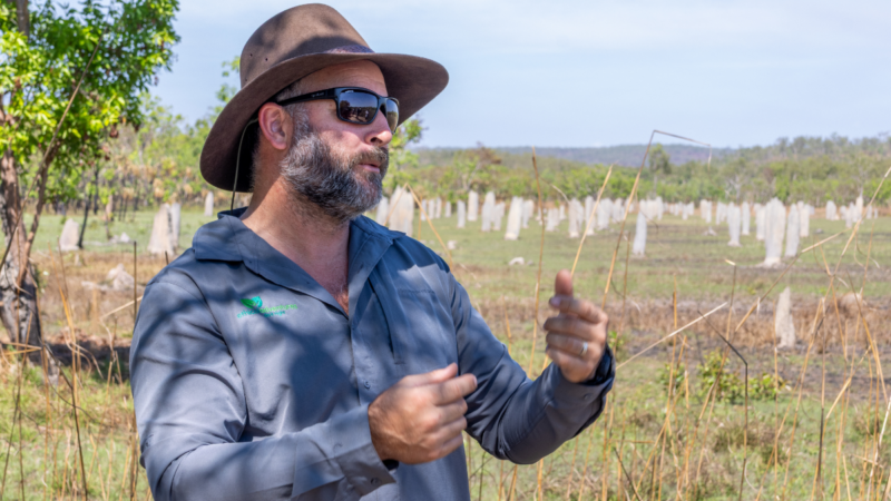 Taking It From The Top 3