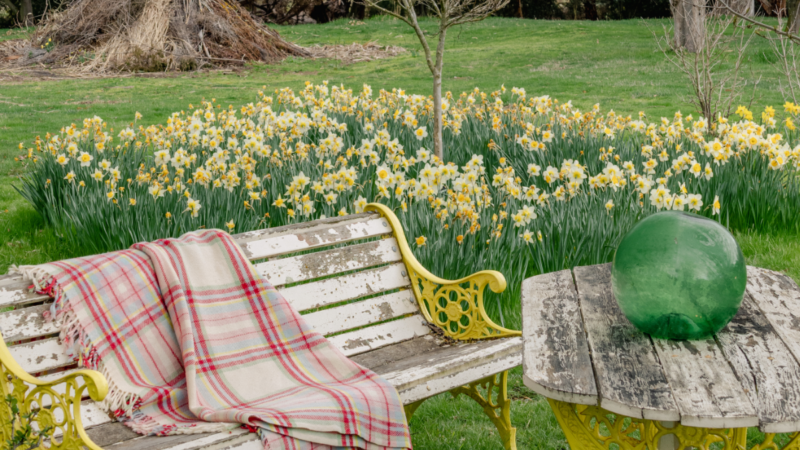 Jackie Aus Country Images 9