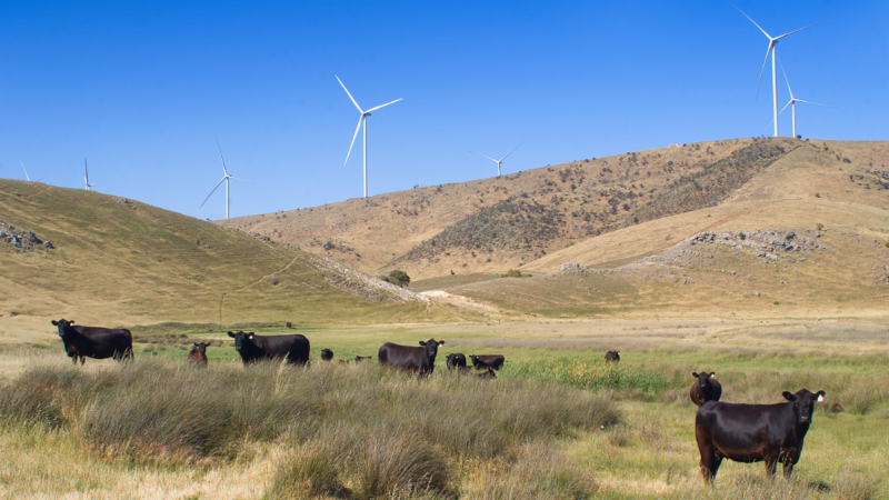 Ac Framed On Farm 29 (4)