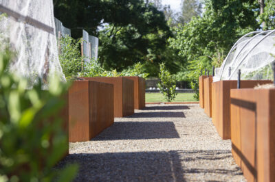 054 Eyton On Yarra Semken Garden Day Shots 20241212